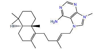 Nemoechine G